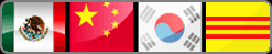 Traffic School Courses offered in many languages
